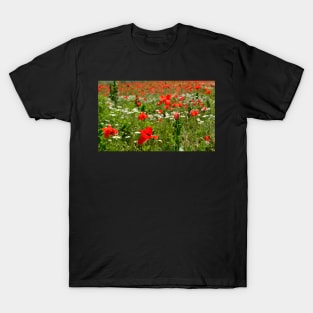 Poppy Field Near Cividale T-Shirt